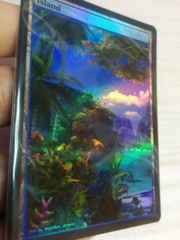Island #24.1 Foil Extended